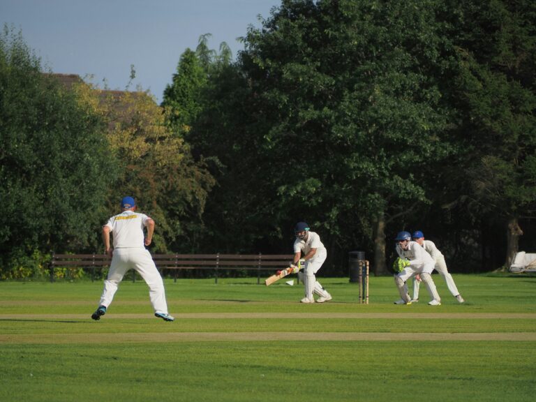 The Role of Indian Cricket in Preserving Traditional Arts