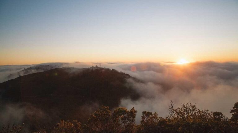 How To Set A Book In Cricbet99?